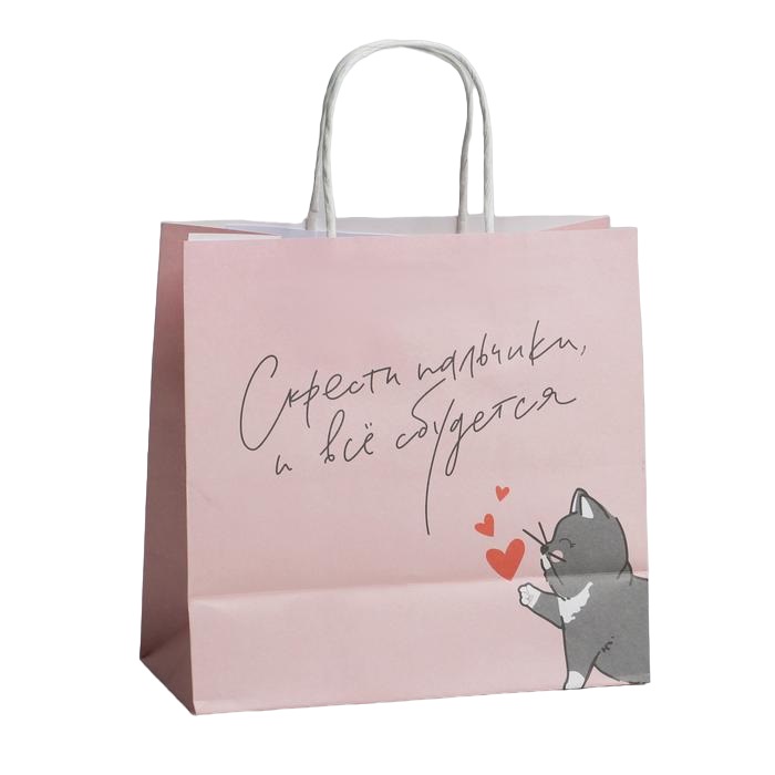  Пакет подарочный «Киса» 22 х 22 х 11 см (Подарочная упаковка, Пакеты) фото 1