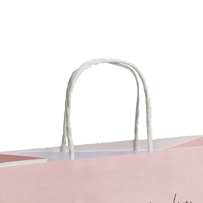  Пакет подарочный «Киса» 22 х 22 х 11 см (Подарочная упаковка, Пакеты) фото 3