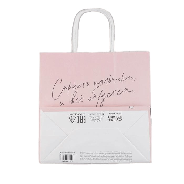  Пакет подарочный «Киса» 22 х 22 х 11 см (Подарочная упаковка, Пакеты) фото 4