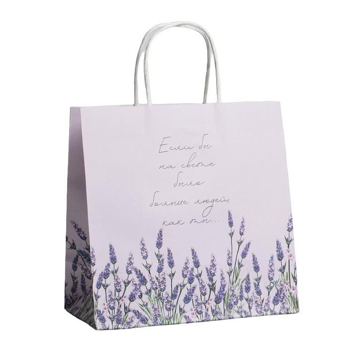 Пакет подарочный «Если бы» 22 х 22 х 11 см (Подарочная упаковка, Пакеты)  Пакет подарочный «Если бы» 22 х 22 х 11 см (Подарочная упаковка, Пакеты) фото 1