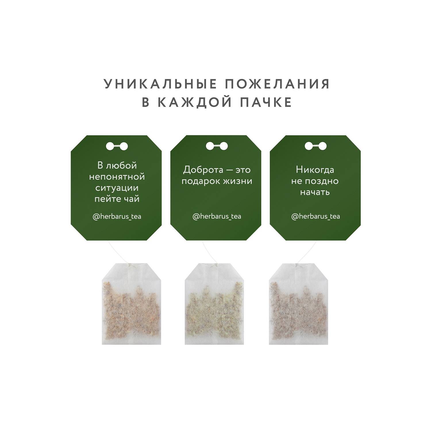 Гербарус Черный чай Ассам, 24 пакетика х 2 г (Herbarus, Классический чай) Гербарус Черный чай Ассам, 24 пакетика х 2 г (Herbarus, Классический чай) фото 1
