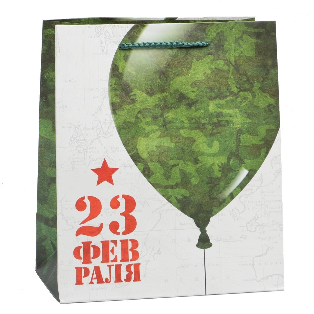  Пакет ламинированный вертикальный «23 февраля», 23 × 27 × 11,5 см (Подарочная упаковка, Пакеты) фото 0