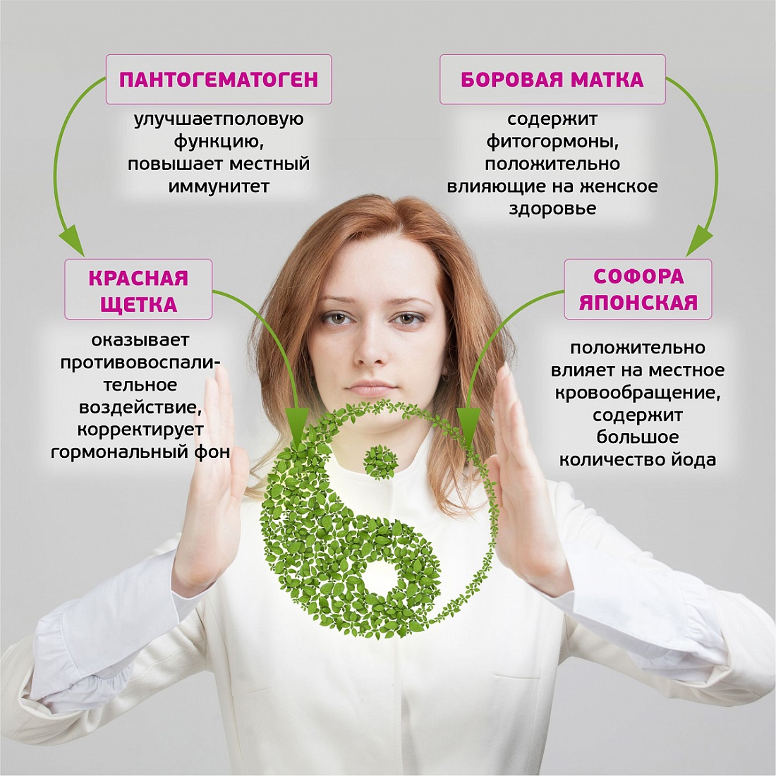 Пантогематоген с красной щёткой и боровой маткой   Пантогематоген с красной щёткой и боровой маткой
