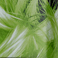 Green зеленый