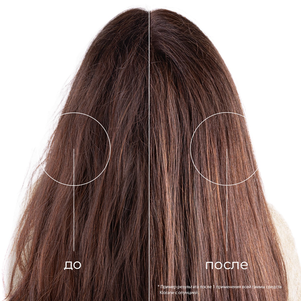 Клоран Увлажняющая маска с опунцией, 250 мл (Klorane, Опунция) Клоран Увлажняющая маска с опунцией, 250 мл (Klorane, Опунция) фото 5