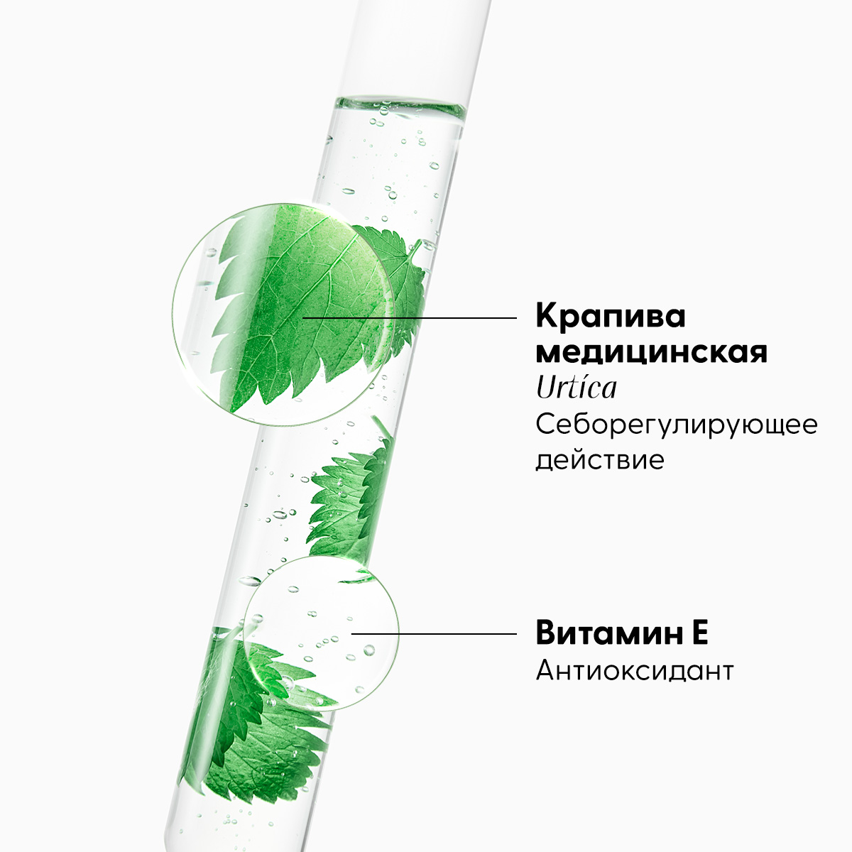Клоран Сухой шампунь с крапивой и витамином Е для жирных волос, 50 мл (Klorane, Крапива) фото 6