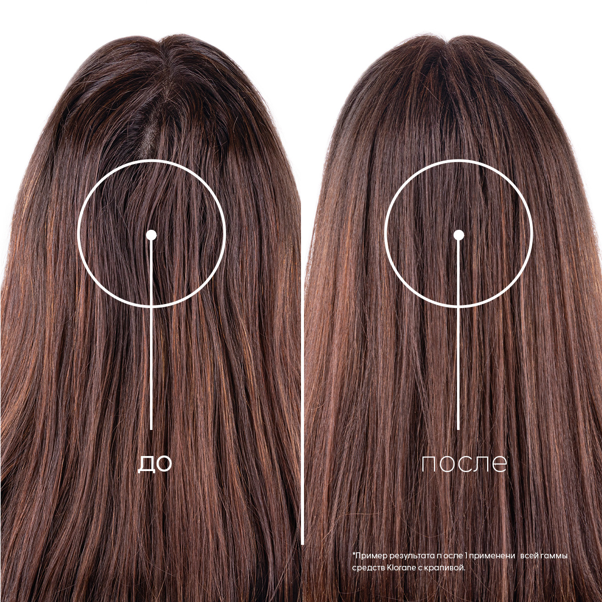 Клоран Сухой шампунь с крапивой и витамином Е для жирных волос, 50 мл (Klorane, Крапива) фото 7