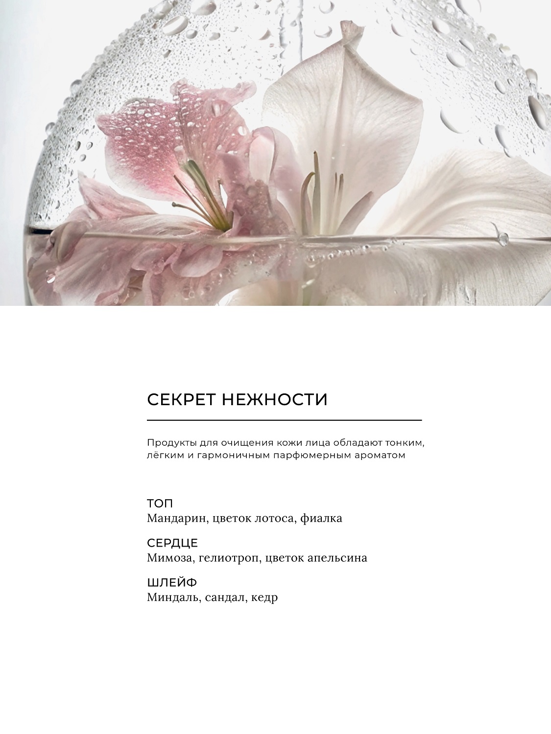 Эстель Пенка-мусс для умывания «Тройная эффективность», 150 мл (Estel, Secrets) фото 8