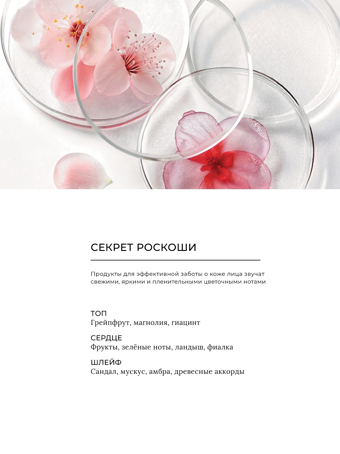 Эстель Маска-массаж для лица «Обновление микробиома», 50 мл (Estel, Secrets) фото 8