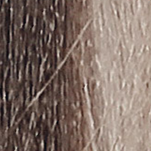 10.18 Очень-оч светлый блондин пепельно-коричневый