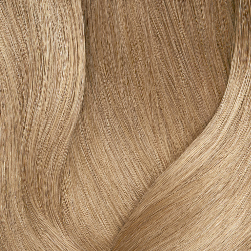 509NA оч св блонд натур пепел 100% покр сед-509.01