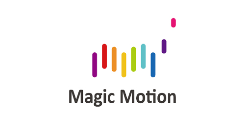 Купить Magic Motion