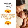 Веледа Молочко с календулой 200 мл (Weleda, Детская серия с календулой) фото 5