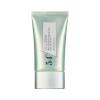 Корректор цвета кожи SKIN FIXER Toning Corrector Mint , мятный, 30 мл