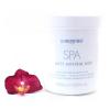 Ля Биостетик Минеральная косметическая грязь для SPA-ухода Beauty Mineral Mud, 500 мл (La Biosthetique, SPA Actif) фото 1