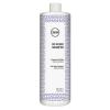  Антижелтый шампунь для волос Be Silver Shampoo, 1000 мл (360, Уход) фото 1