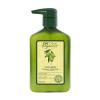 Чи Шампунь для волос и тела с маслом оливы Hair and Body Shampoo, 340 мл (Chi, Olive Nutrient Terapy) фото 1
