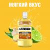  Ополаскиватель для полости рта «Имбирь-Лайм» 250 мл (LISTERINE, ) фото 4