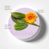 Миша Тональный крем-кушон Magic Cushion Cover Lasting SPF50+/PA+++, 15 г (Missha, Foundation) фото 7