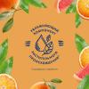  Вio гель для душа «Апельсин и Грейпфрут», 250 мл (LE PETIT MARSEILLAIS, Care VITA-RICH) фото 5