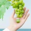 Фрудиа Себорегулирующий крем с зеленым виноградом, 10 г (Frudia, Контроль себорегуляции) фото 4