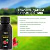  Смарт-бальзам "Иммуно", 100 мл (SMART BEE, ) фото 4