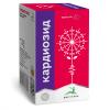  Растворимый напиток "Кардиозид" в гранулах, 140 г (Вистерра, Оздоровительная продукция) фото 4