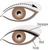 Физишенс Формула Набор карандашей для век Shimmer Strips Custom Eye Enhancing Eyeliner Trio-Nude Eyes, 3 х 0,85 г (Physicians Formula, Глаза) фото 6