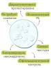 Адерма Очищающая мицеллярная вода для проблемной кожи, 200 мл (A-Derma, Biology) фото 5