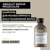 Лореаль Профессионель Шампунь для молекулярного восстановления волос Absolut Repair Molecular, 300 мл (L'oreal Professionnel, Serie Expert) фото 3