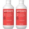 Тефия Набор для коррекции косметического цвета волос, 2 х 500 мл (Tefia, Ambient) фото 1