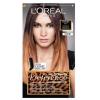 Лореаль Париж Краска для волос Preference Wild Ombres, 225 мл (L'oreal Paris, Окрашивание) фото 1