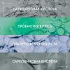 Виши Корректирующий флюид двойного действия для проблемной кожи Phytosolution, 50 мл (Vichy, Normaderm) фото 4