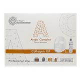 Набор Angio Complex: аппликаторы для лица 5 шт и спрей 150 мл (Collagen Kit)