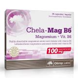 Биологически активная добавка к пище Chela-Mag B6, 690 мг, №60 (Витамины и Минералы)