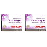 Биологически активная добавка Chela-Mag B6, 690 мг, №30 х 2 шт (Витамины и Минералы)