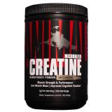 Микронизированный креатин Universal Nutrition Micronized Creatine Powder, 500 г (Креатин)