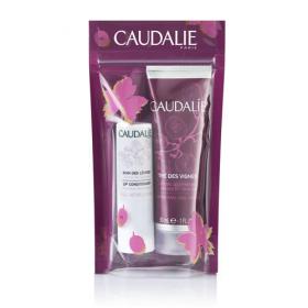 Caudalie Набор Идеальный дуэт Те Де Винь Крем для рук 30 мл  Гигиеническая помада 4,5 гр. фото