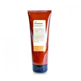Insight Professional Маска-антиоксидант для защиты и омоложения волос Rejuvenating Mask, 250 мл. фото