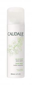 Caudalie Виноградная вода-спрей для лица и тела Grape Water, 200 мл. фото