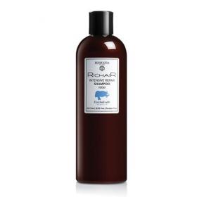 Egomania Professional Шампунь Активное Восстановление  400 мл. фото