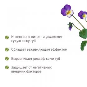 Weleda Питательный бальзам для губ Skin Food, 8 мл. фото