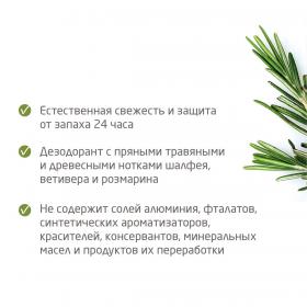 Weleda Мужской дезодорант 24 часа Roll-On 50 мл. фото
