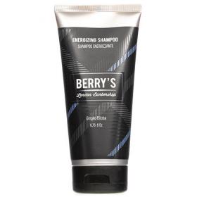 Brelil Professional Шампунь для мужчин энергия Berrys Energizing Shampoo, 200 мл. фото
