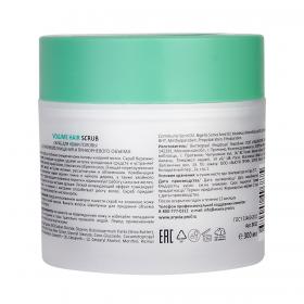 Aravia Professional Скраб для кожи головы для активного очищения и прикорневого объема Volume Hair Scrub, 300 мл. фото