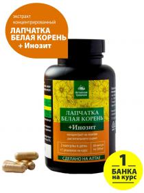 Алтайские традиции Концентрат Корень лапчатки белой при дисфункции щитовидной железы, инозит, 60 капсул. фото