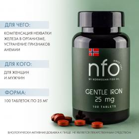 Norwegian Fish Oil Комплекс с легкодоступным железом, 100 таблеток. фото