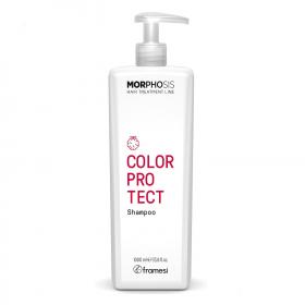 FRAMESI Шампунь для окрашенных волос Color Protect Shampoo, 1000 мл. фото