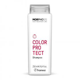 FRAMESI Шампунь для окрашенных волос Color Protect Shampoo, 250 мл. фото