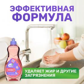 Meine Liebe Гель-концентрат для мытья посуды Клюква и брусника , 500 мл. фото